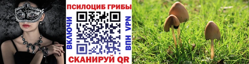Галлюциногенные грибы мицелий гидра сайт Мурманск